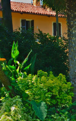 197-0-IMG_SCENA