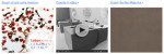Laboratorio Ceramics of Italy 2