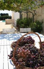 masseria-puglia