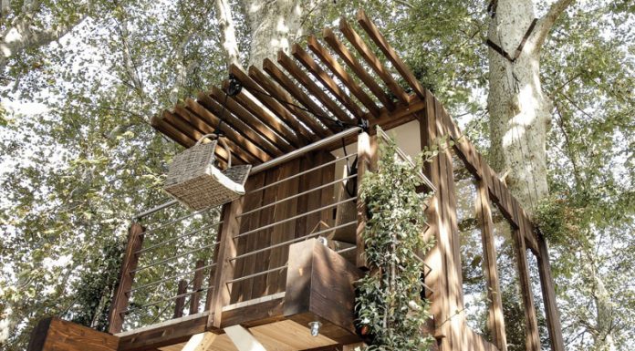 Casa sull’albero | Progetto, tipologie e costi casa sull'albero
