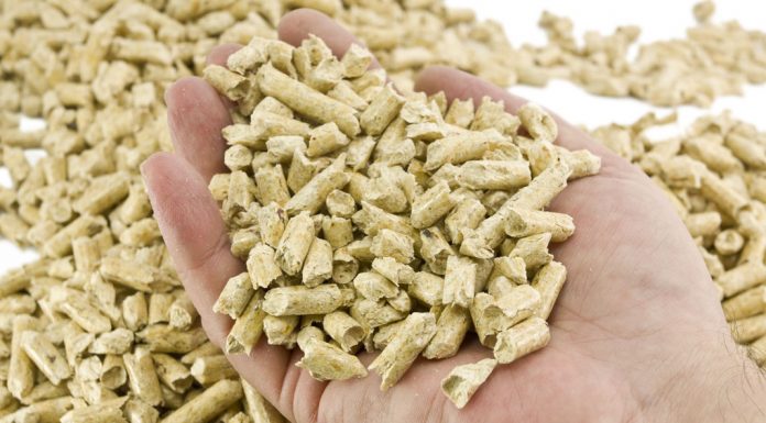 Pellet | Caratteristiche e costi pellet
