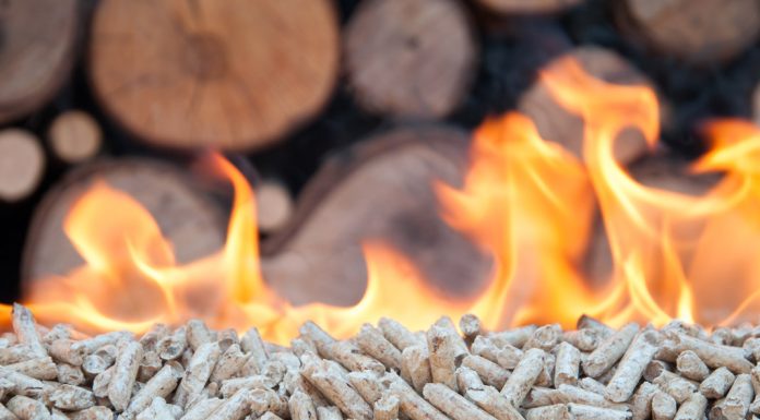 Stufa a legna o stufa a pellet? | Acquistare sul web conviene? stufa