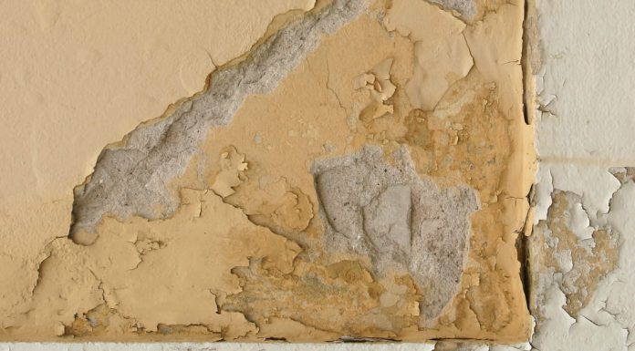 Eliminare umidità di risalita: cause, diagnosi e soluzioni per risanare i muri umidità di risalita
