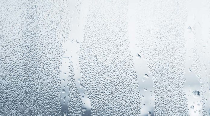 Barriera al vapore | Predisporla conviene davvero? barriera al vapore