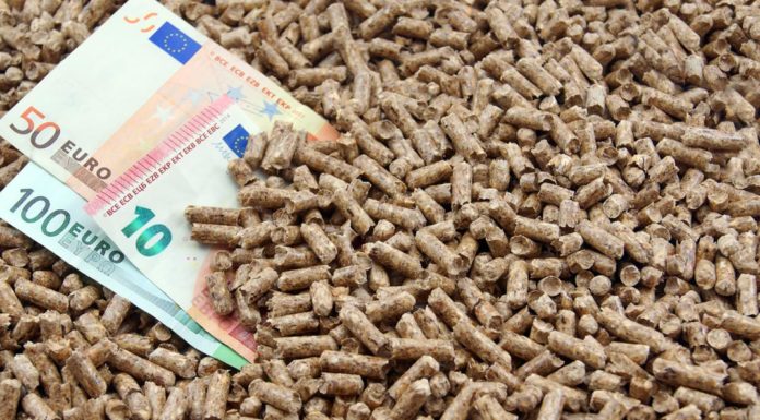 Pellet migliore | Quali sono i fattori fondamentali da valutare? pellet migliore