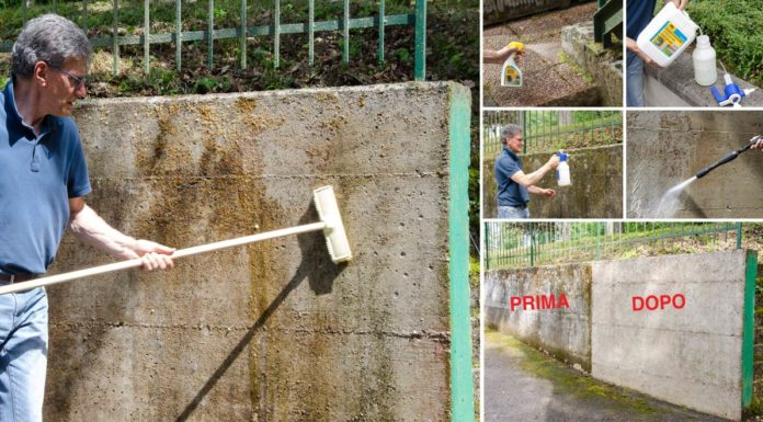 Come risanare un muro umido da alghe, muffe, licheni e depositi di smog