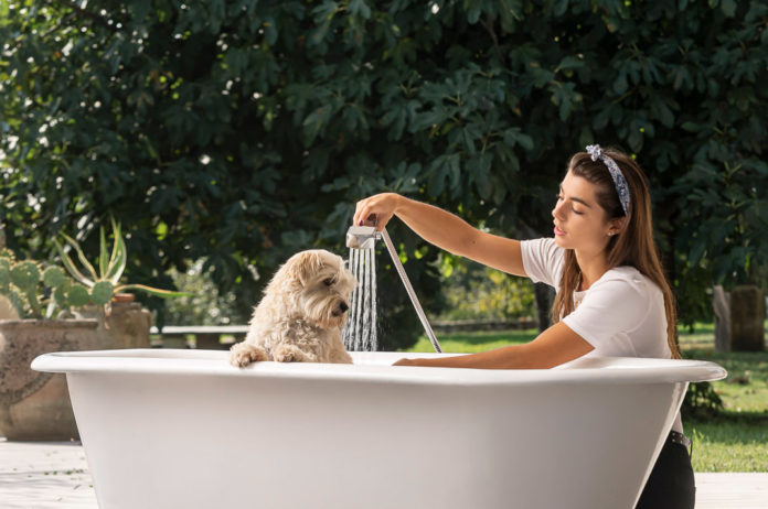 Damast-docciaspazzola-Mafalda-spazzola3