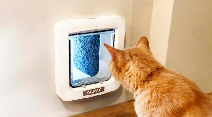 Ingenius MyPet di Alpac | Animali liberi e felici, massimo comfort per la tua casa Ingenius MyPet