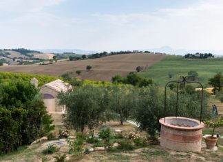 Una nuova struttura ricettiva tra oliveti secolari