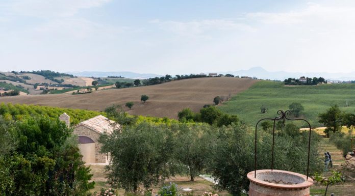 Una nuova struttura ricettiva tra oliveti secolari
