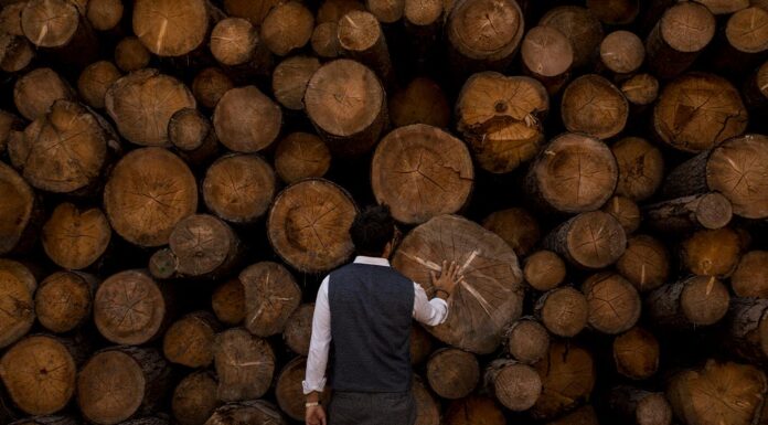 Novità e innovazioni per i 30 anni di Fiemme Tremila