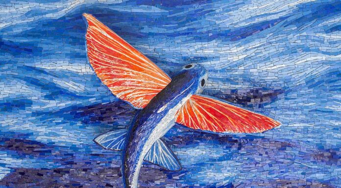 Collezione Éclats di Friul Mosaic, una nuova forma artistica per il mosaico friul mosaic