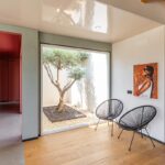 WnD_realizzazione-Olivo-Sicilia_Fisso_luce_talaio3