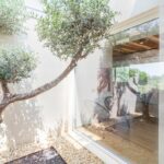 WnD_realizzazione-Olivo-Sicilia_Fisso_luce_telaio2